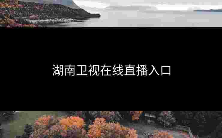 湖南卫视在线直播入口 湖南卫视在线直播入口